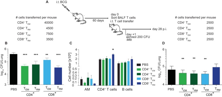 FIG 6 