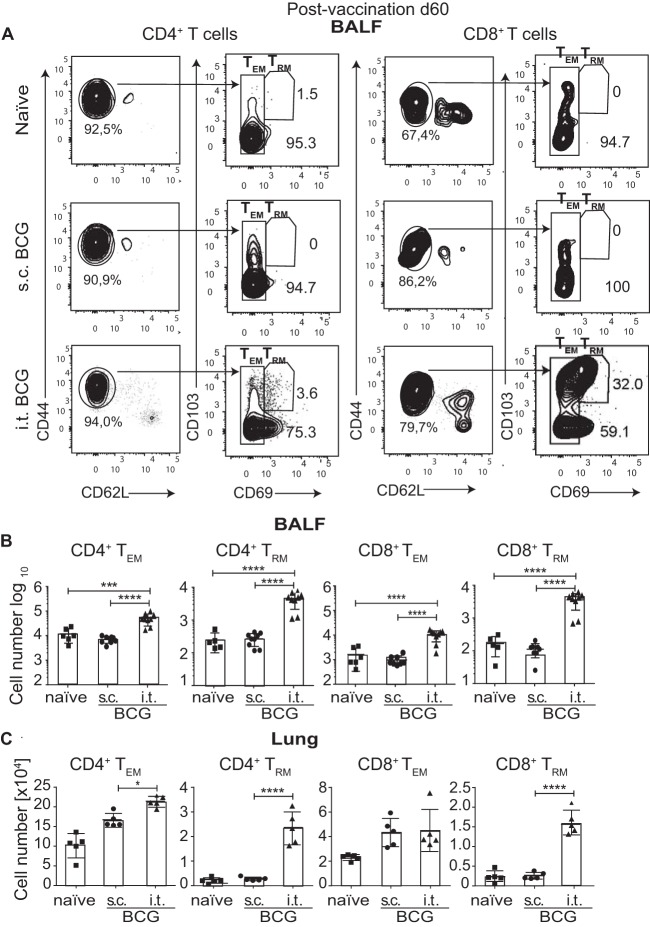 FIG 4 