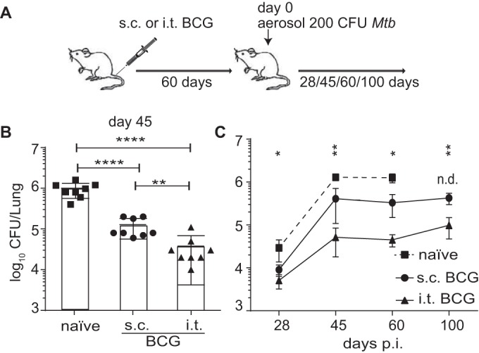 FIG 1 