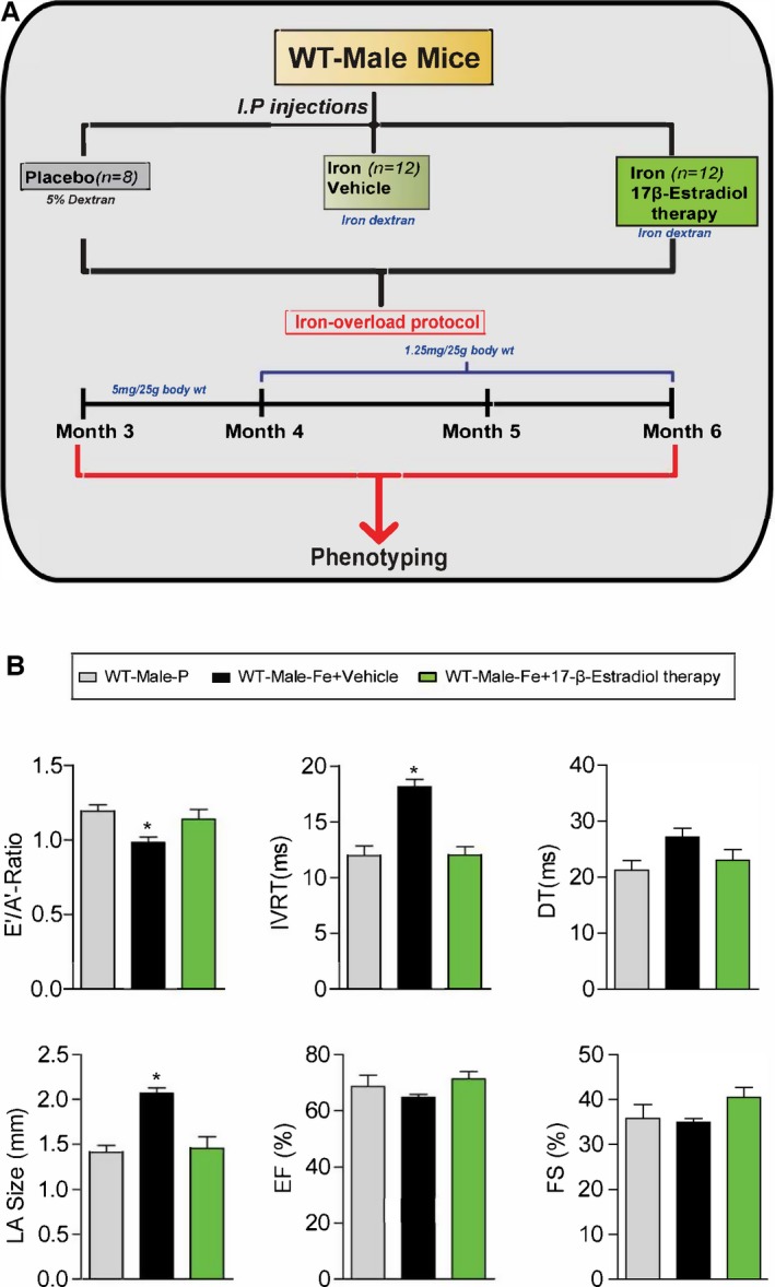 Figure 15