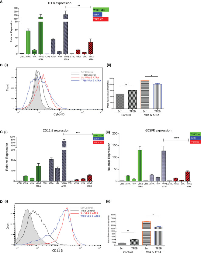 Figure 4