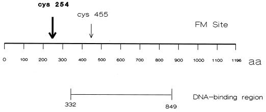 FIG. 8