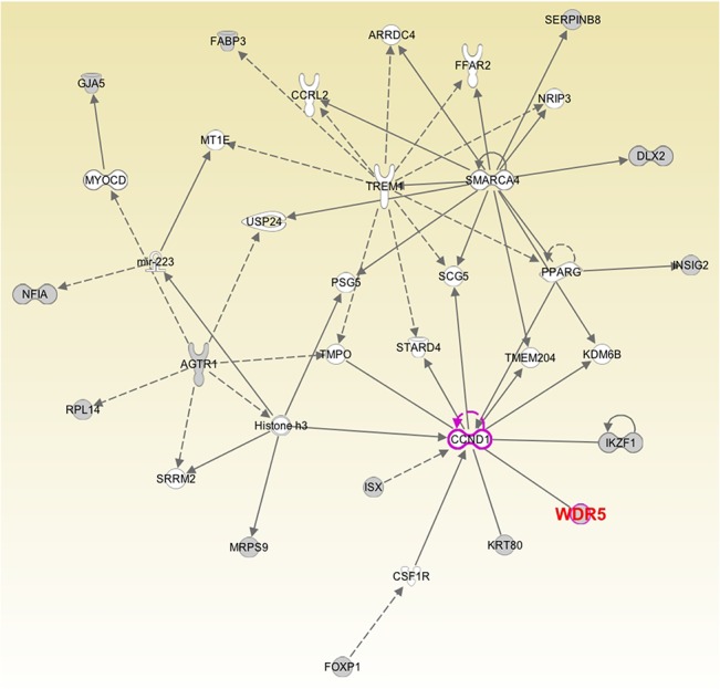 Fig 3