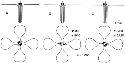 Fig. 7.