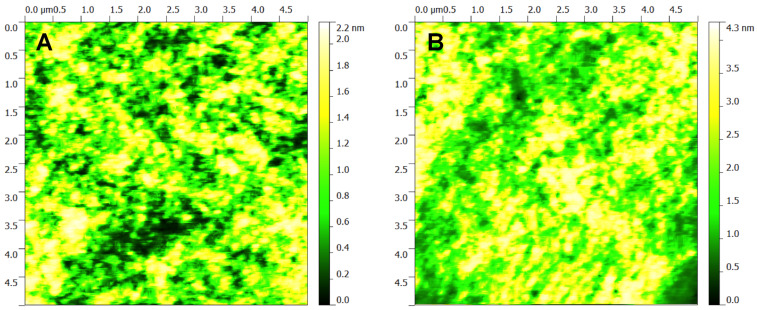 Figure 12