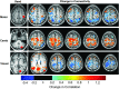 <b>FIG. 6.</b>