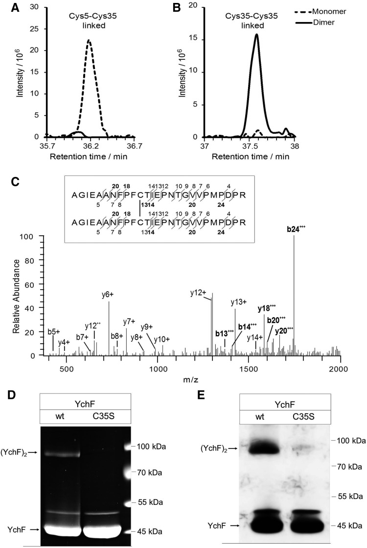 FIG. 3.