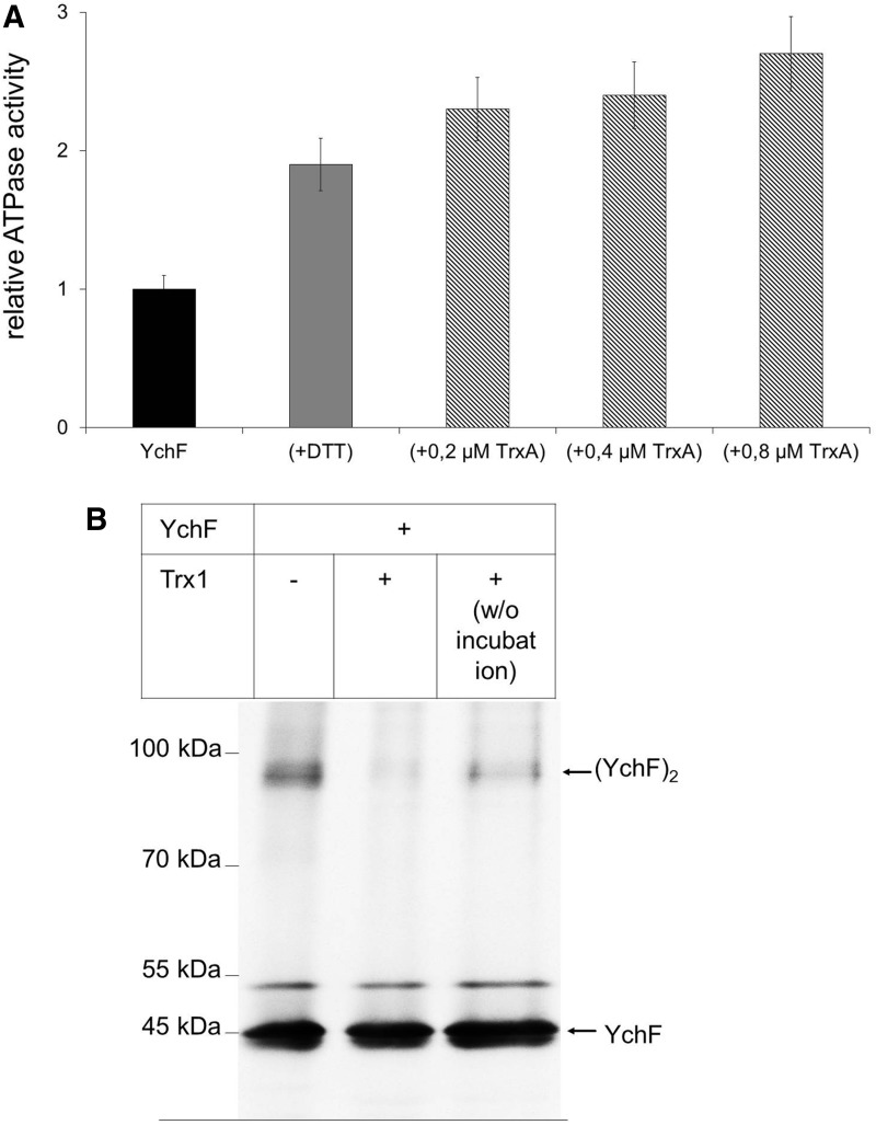 FIG. 7.