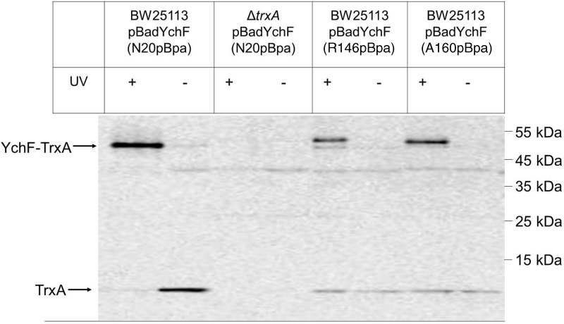 FIG. 6.