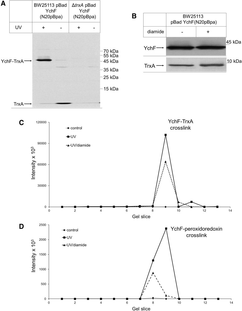 FIG. 5.