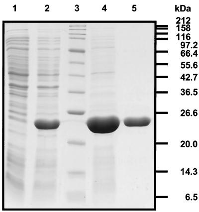 FIG. 6