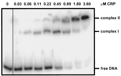 FIG. 7