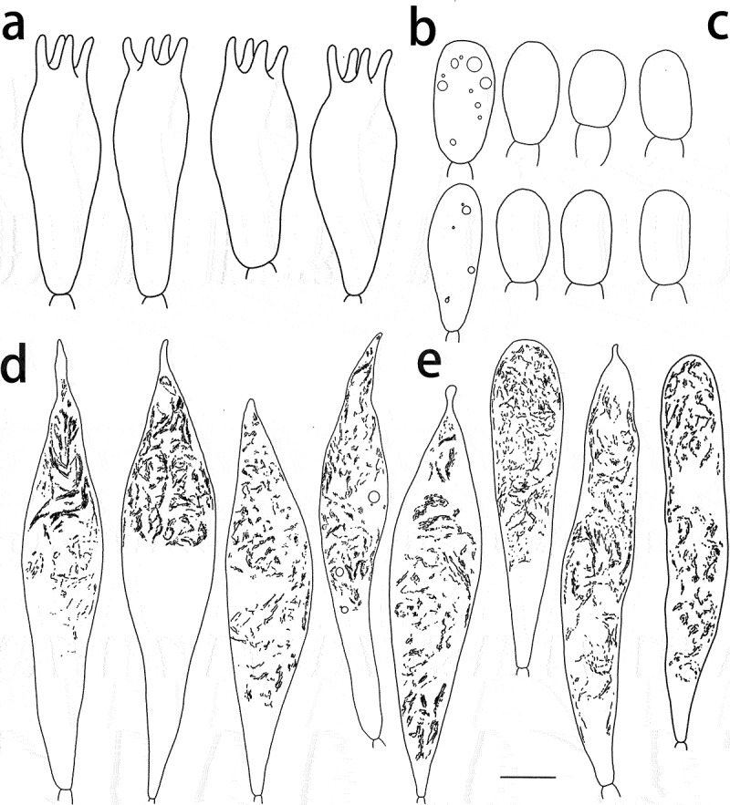 Figure 11.