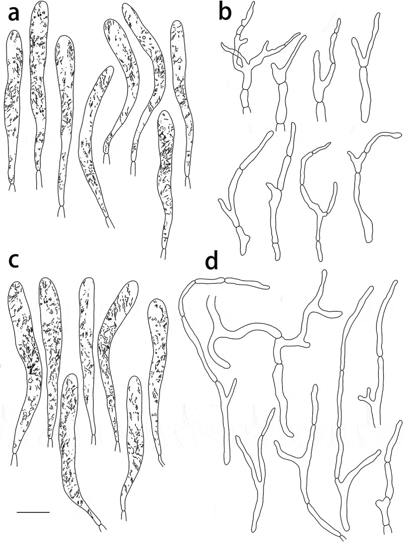 Figure 8.