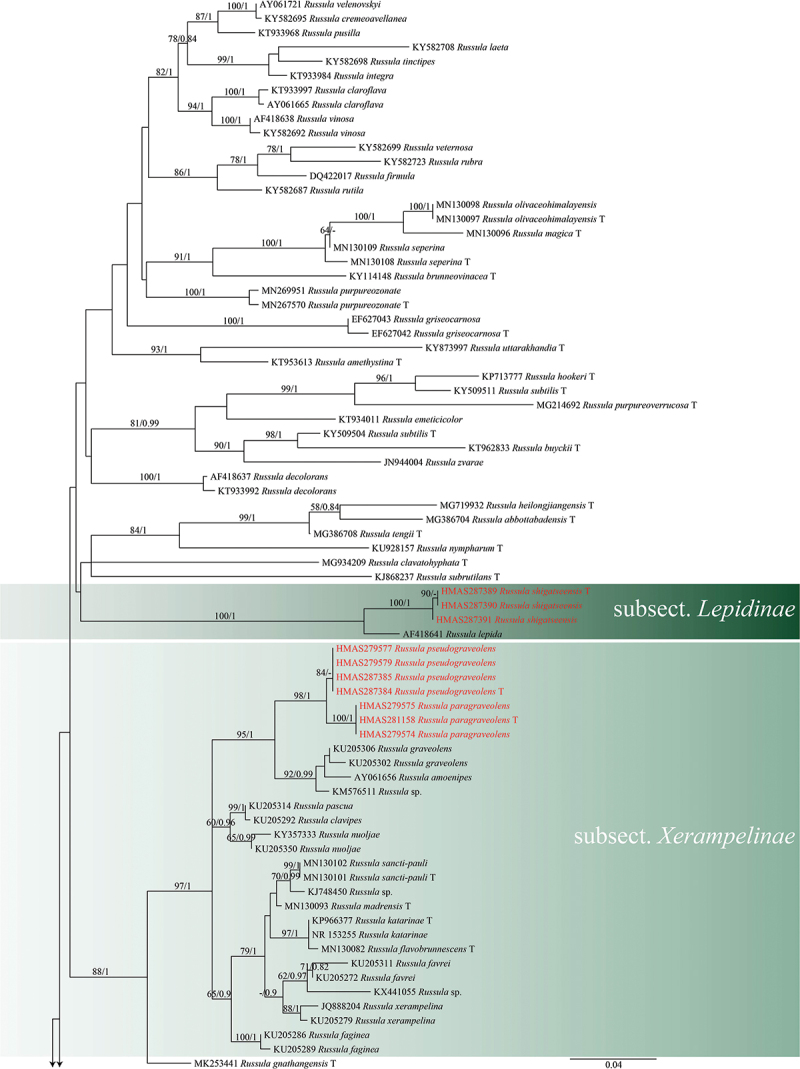 Figure 1.