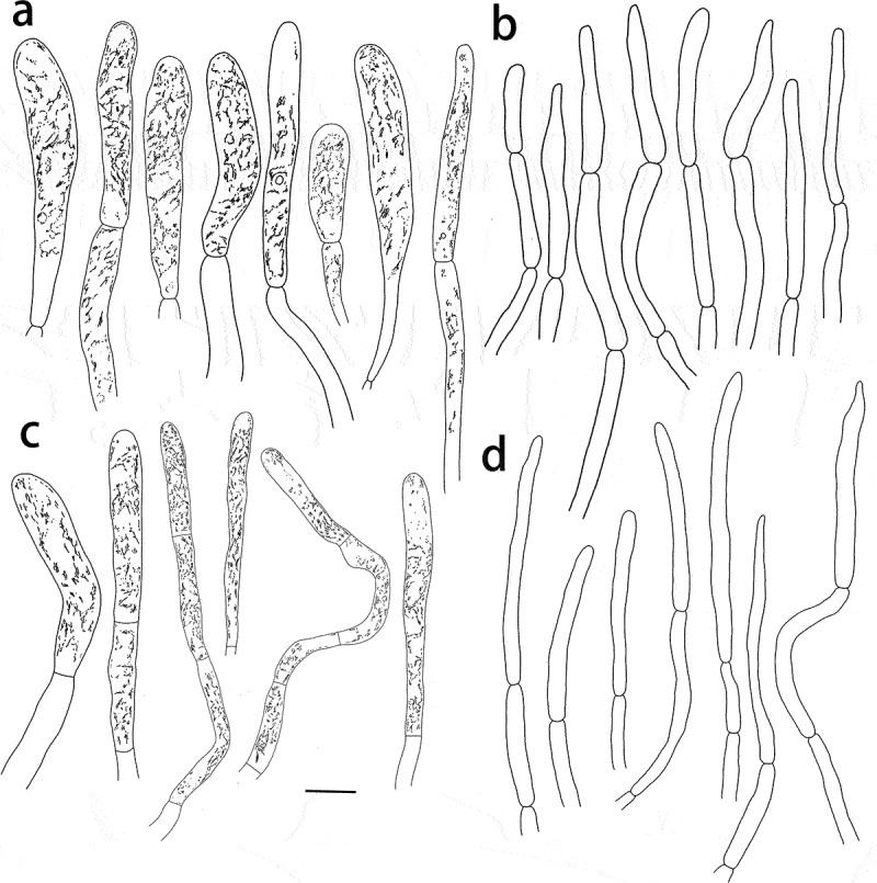 Figure 12.