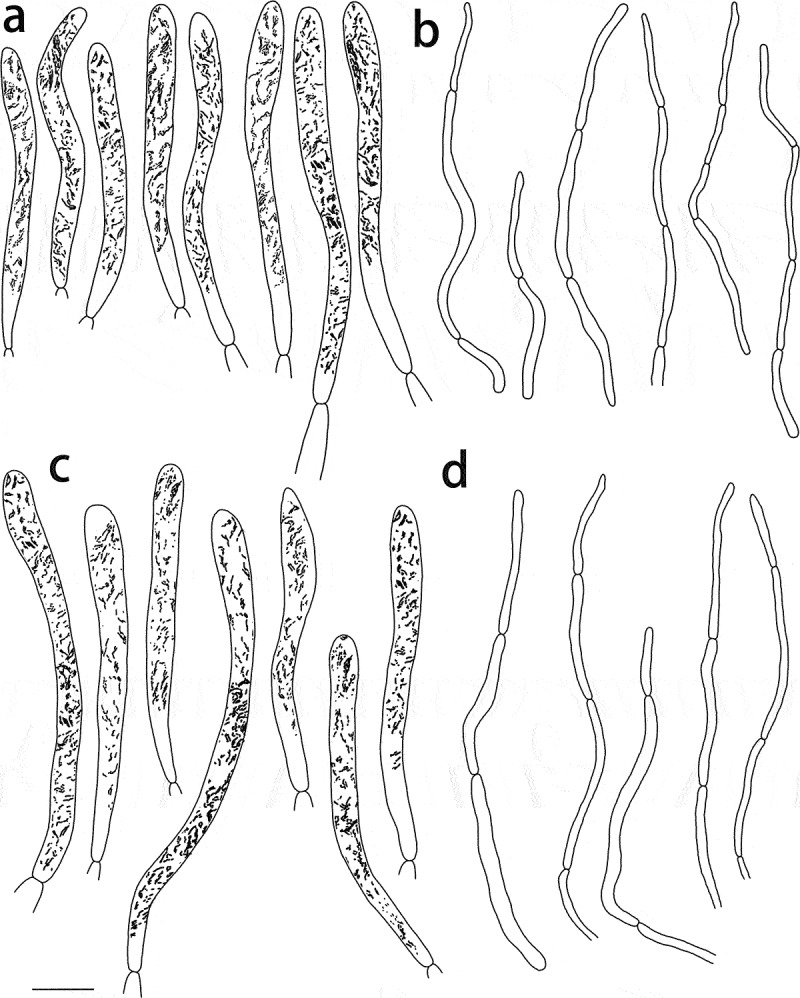 Figure 6.