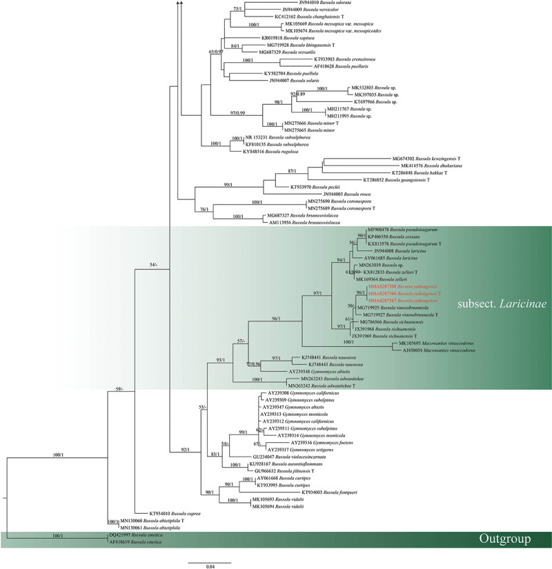 Figure 1.