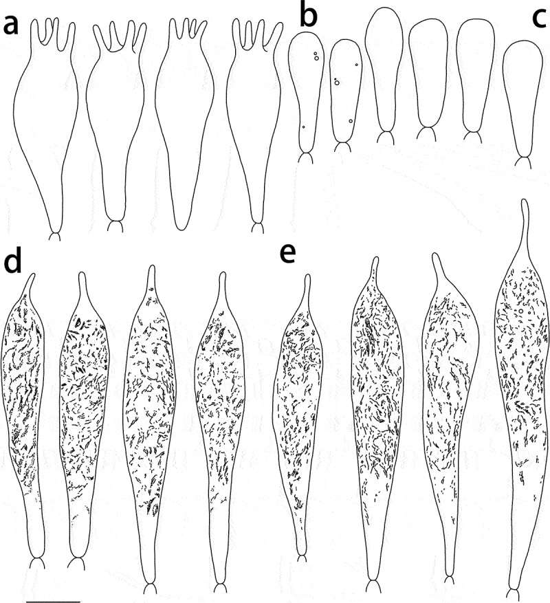 Figure 5.