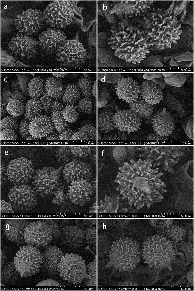 Figure 4.