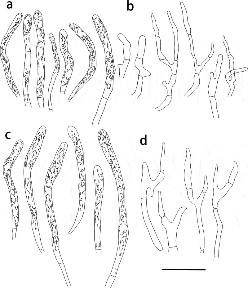 Figure 10.