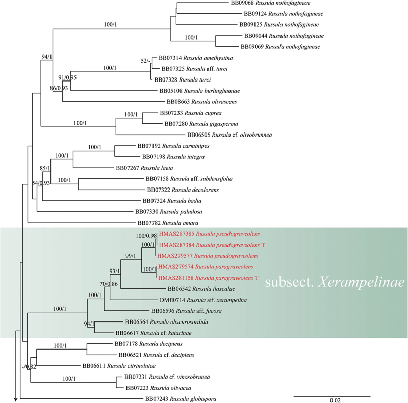 Figure 2.