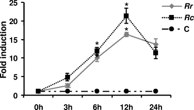 FIG. 2.