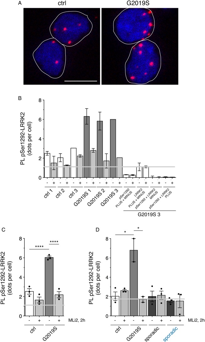 Figure 6.