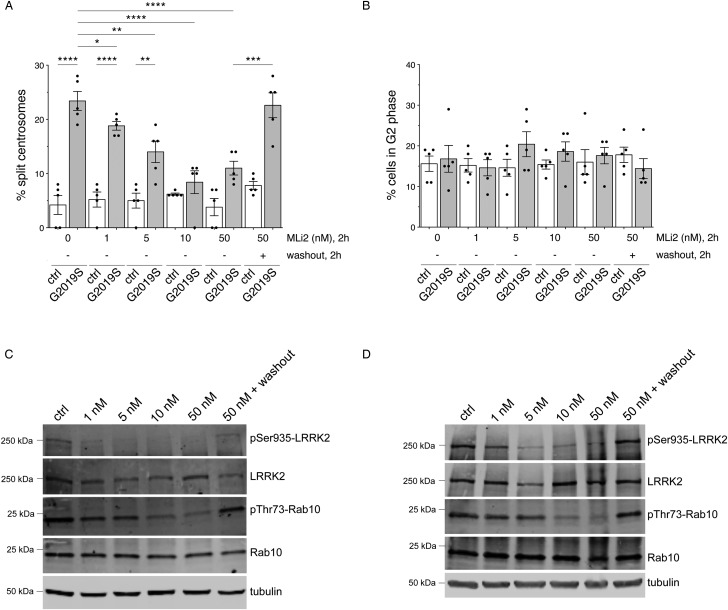 Figure 2.