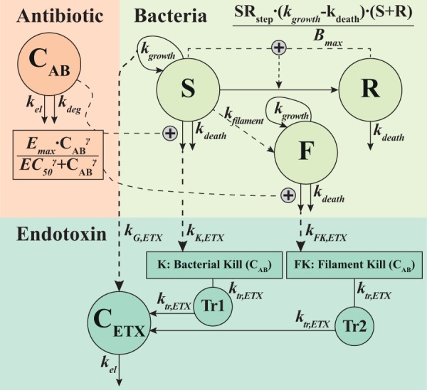 FIG 2