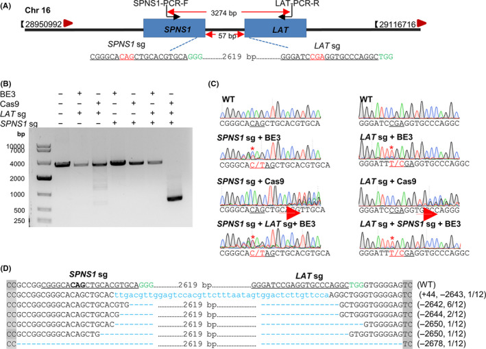 FIGURE 4