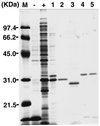 FIG. 6