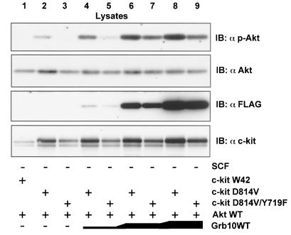 FIG. 9.