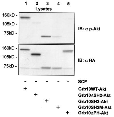 FIG. 8.