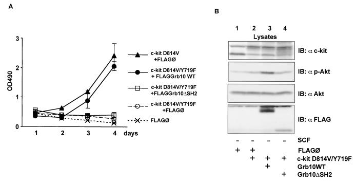 FIG. 10.