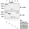 FIG. 8.