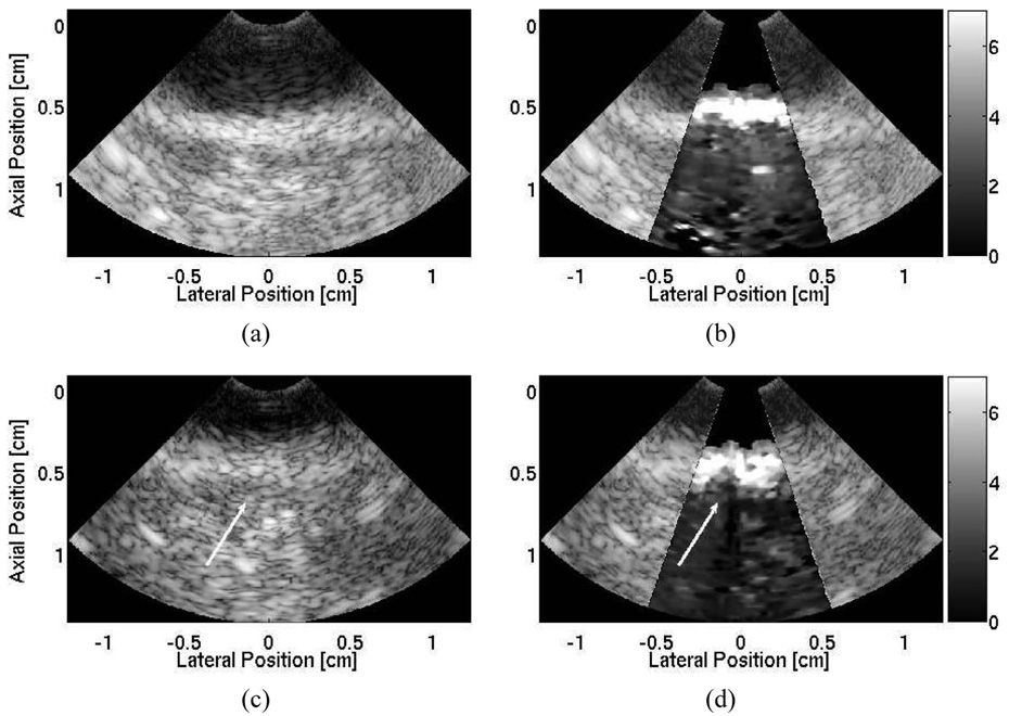 Fig. 10