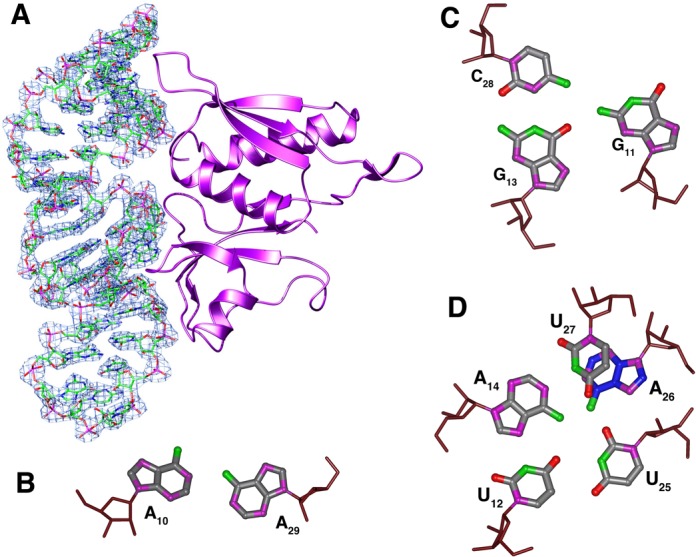 Figure 4.