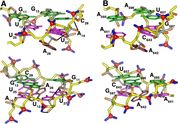 Figure 5.