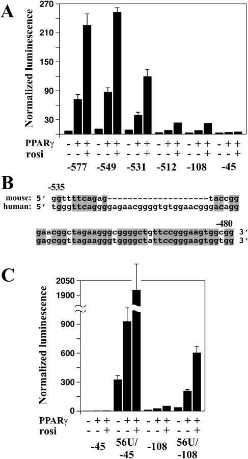 FIG. 5.