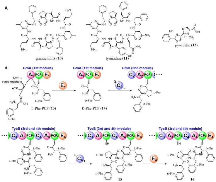 FIGURE 3