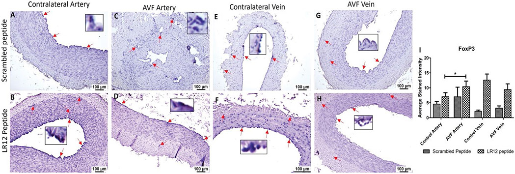 Figure 7: