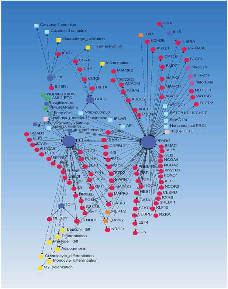 Figure 1: