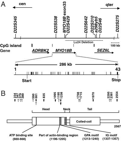 Fig 1.