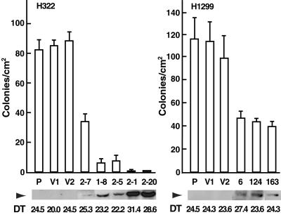 Fig 4.