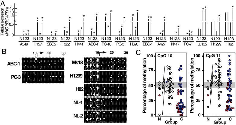 Fig 3.