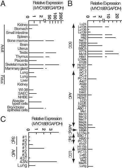 Fig 2.