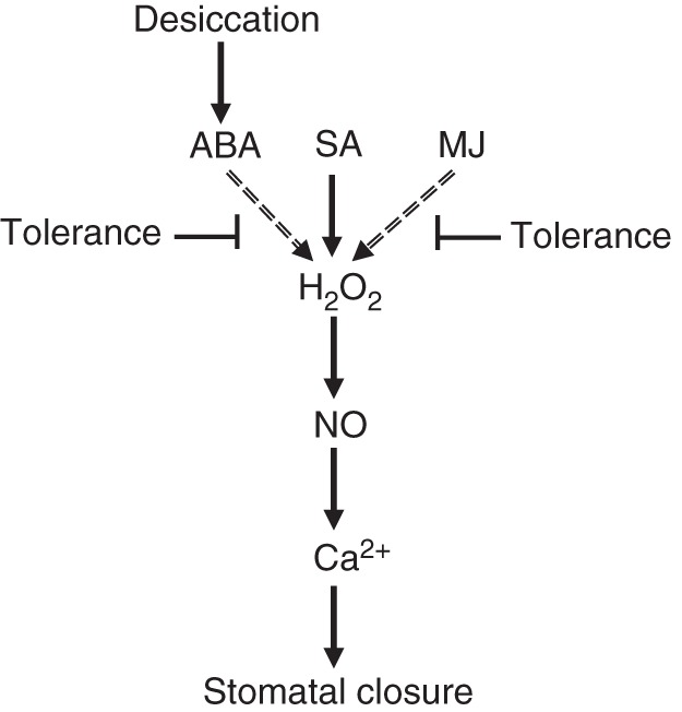 Fig. 8.