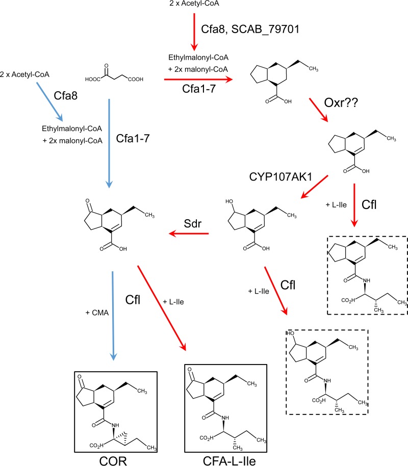 FIG 2