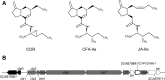 FIG 1
